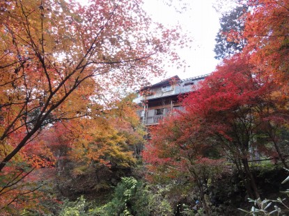 付知峡の紅葉 中津川恵那観光